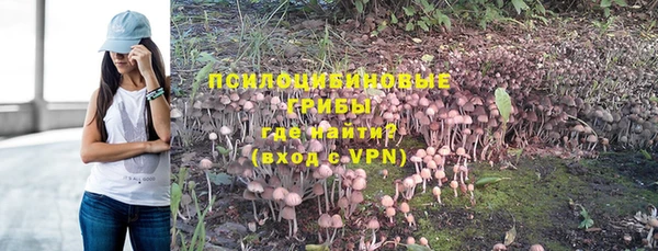 тгк Армянск