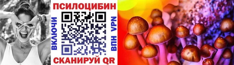 kraken как войти Советский Псилоцибиновые грибы ЛСД